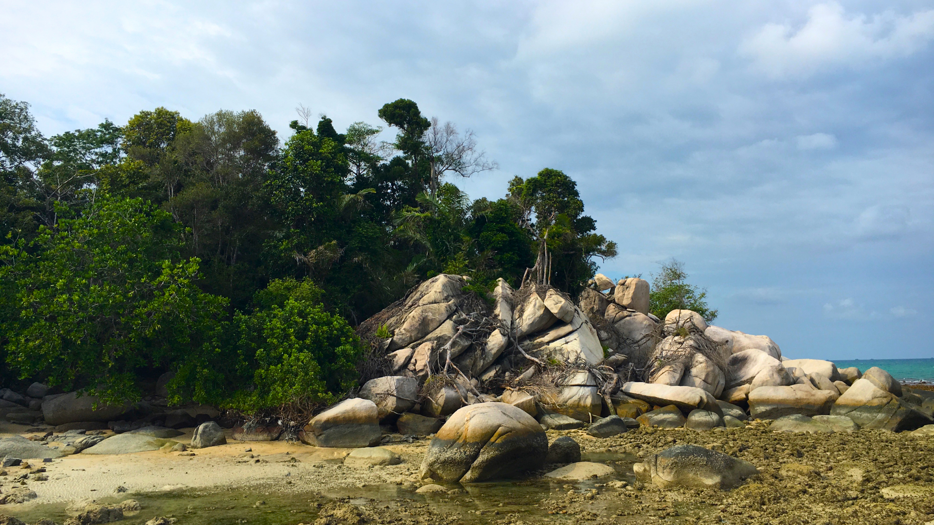 IMG_8841-Kopie IMG_8841-Kopie