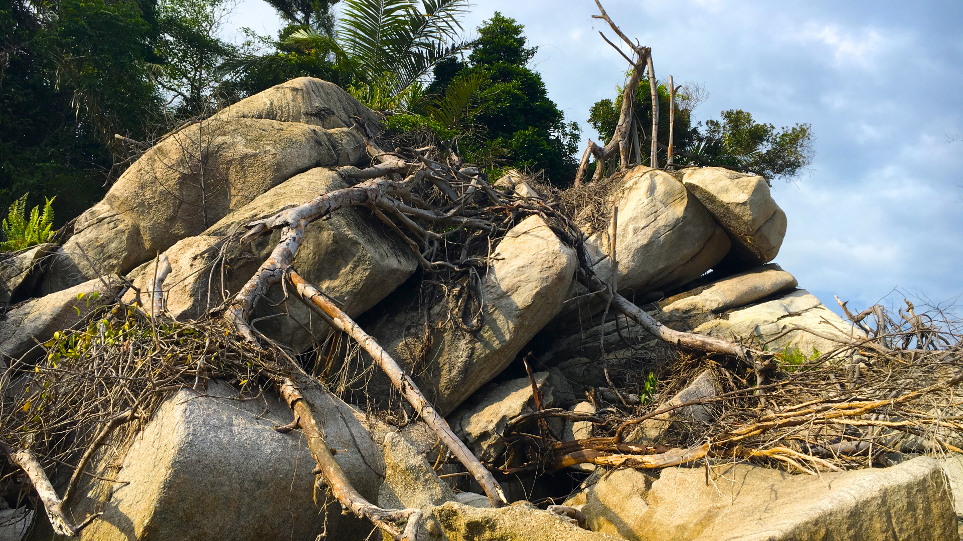 IMG_8847-Kopie IMG_8847-Kopie