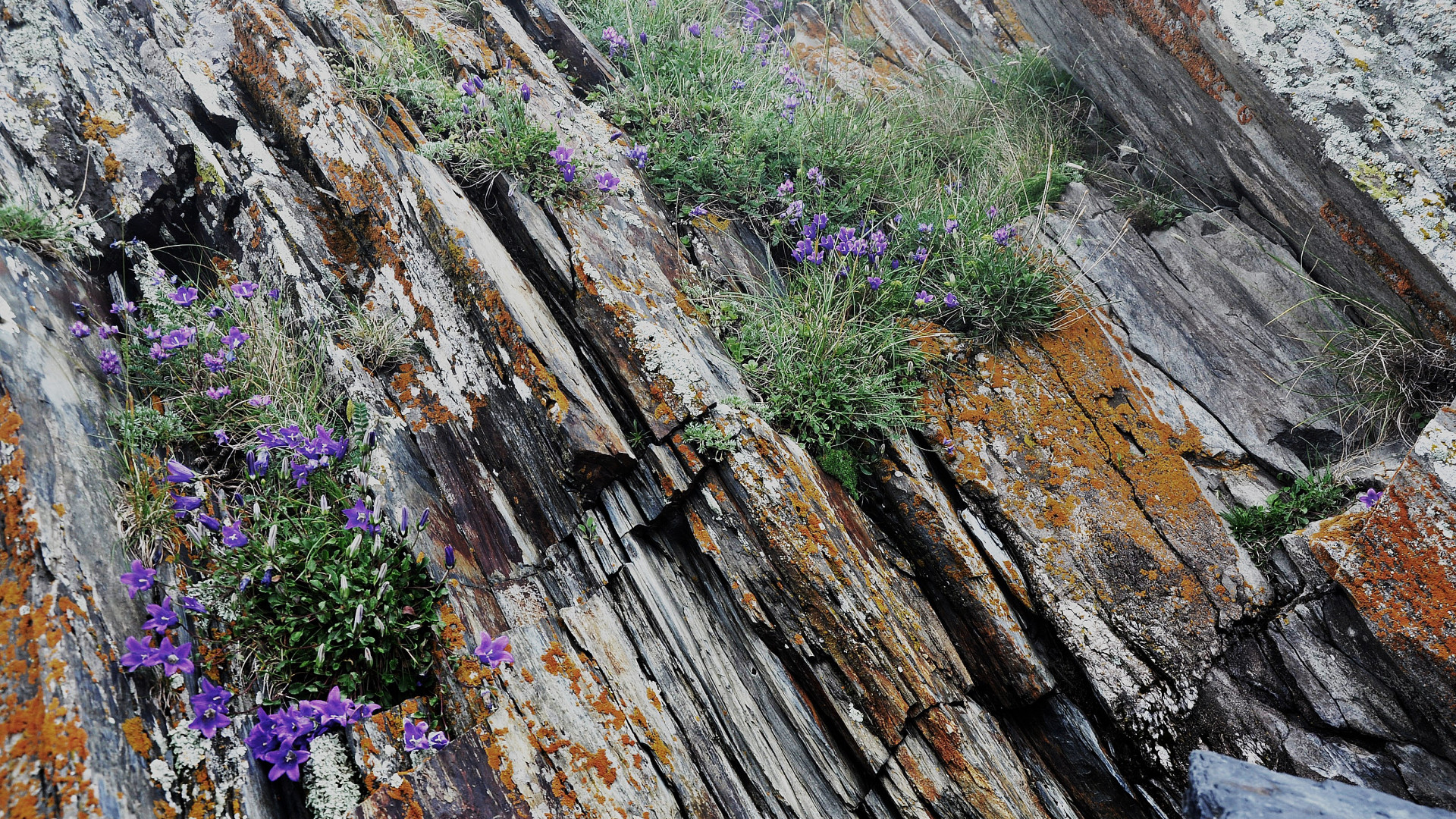 DSC_1510 DSC_1510