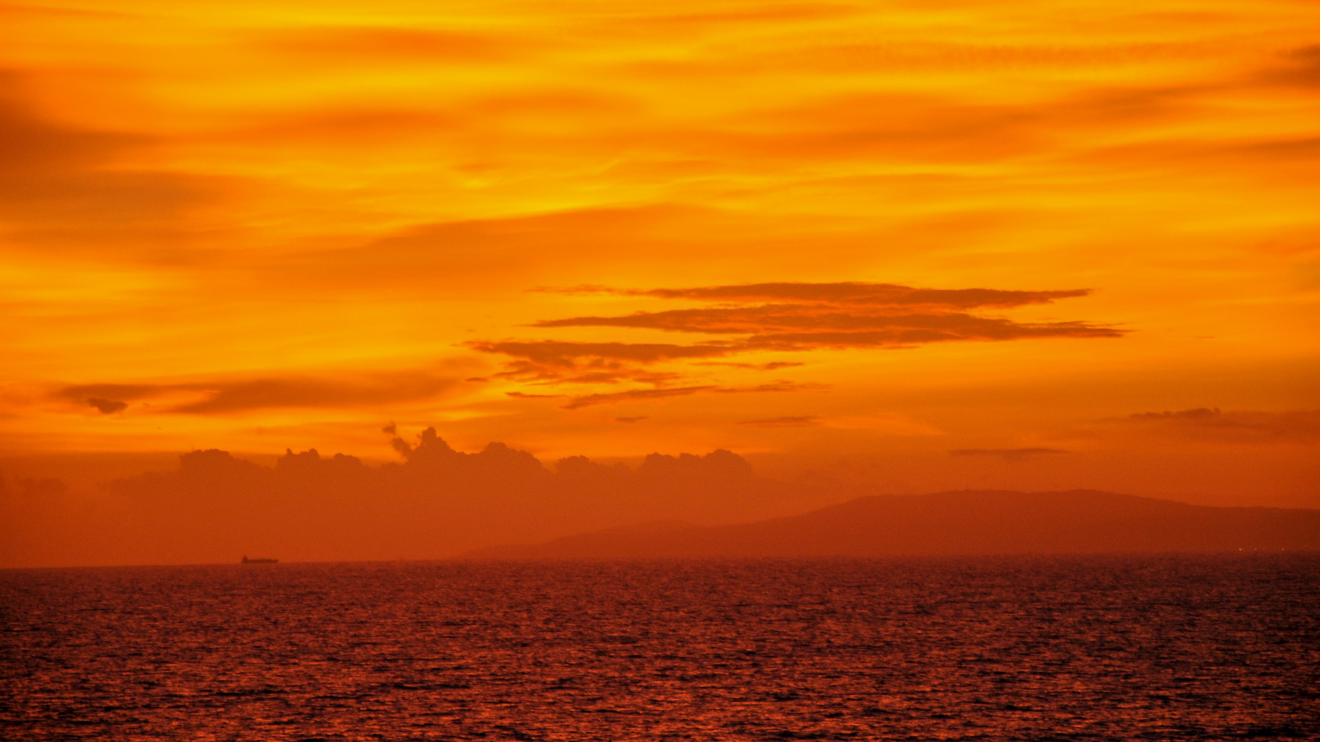 DSC_0685 DSC_0685