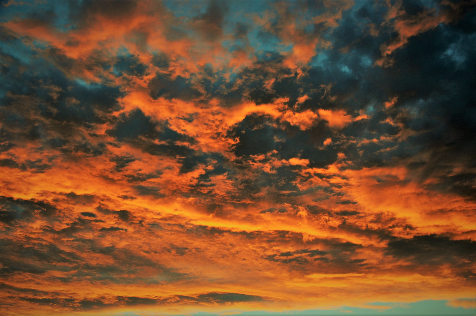 DSC_0037a DSC_0037a